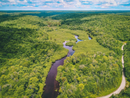 United States: TotalEnergies Invests in Sustainable Forestry Operations to Preserve Sustainable Carbon Sinks