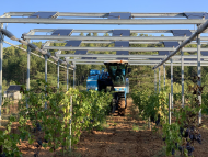 France: TotalEnergies Acquires Ombrea and Creates a Center of Expertise for Agrivoltaics