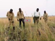 TILENGA Project - The Challenges of Seismic Acquisition in a National Park in Uganda