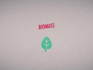 Biomass