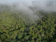 Projet favorisant l'Emancipation des Femmes au sein des communautés locales