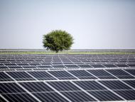Solar power plant in Khirasara, Gujarat, India