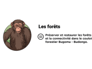 Infographie Pilier 4 : Les Forêts - en savoir plus