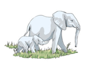 Infographics Ouganda: outro - Learn out more