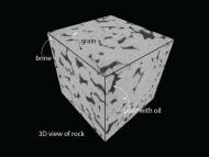 ROCKS UNDER SCRUTINY