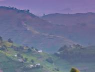 Préserver l'environnement