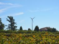 Wind turbine in the background of a sunflower field