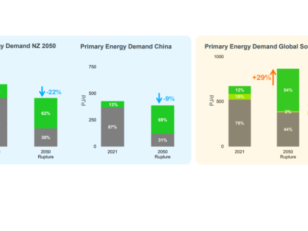 Infographics « Primary Energy Demand » - see detailed description hereafter