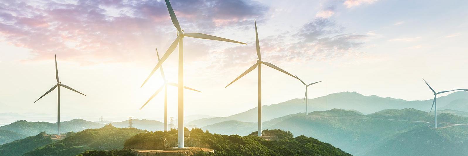 TotalEnergies Wind turbines