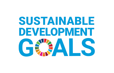 SDG logo