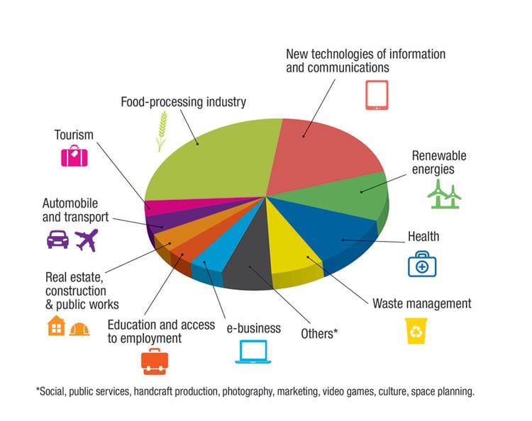 Distribution of the winning projects by sector